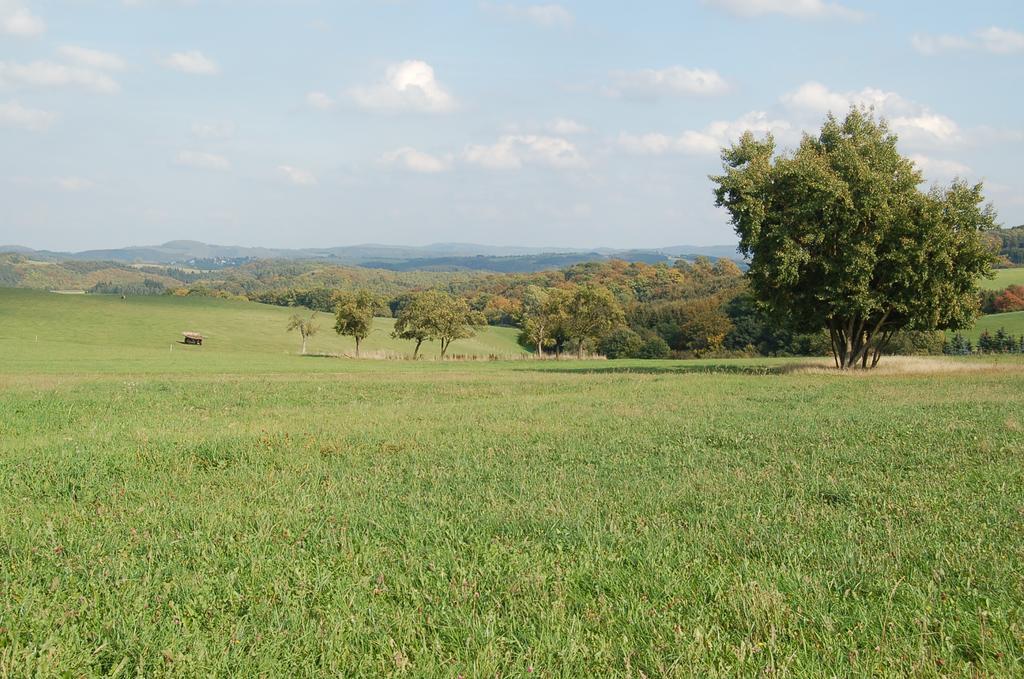 Landgasthaus Pfahl Wershofen Zewnętrze zdjęcie