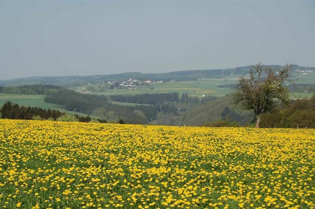 Landgasthaus Pfahl Wershofen Zewnętrze zdjęcie